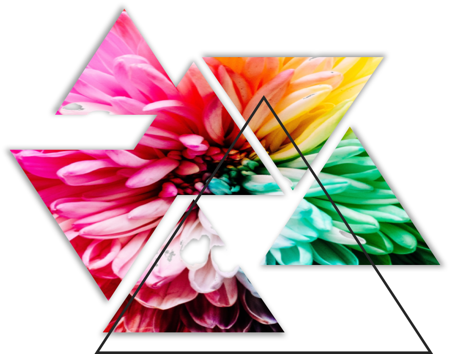 Shift Dimension Pic T1