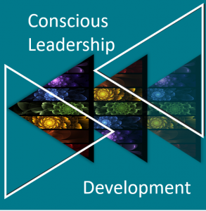 Conscious Leadership Development